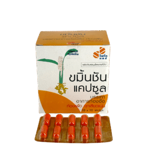 ขมิ้นชัน 350mg (องค์การ) 10x10's